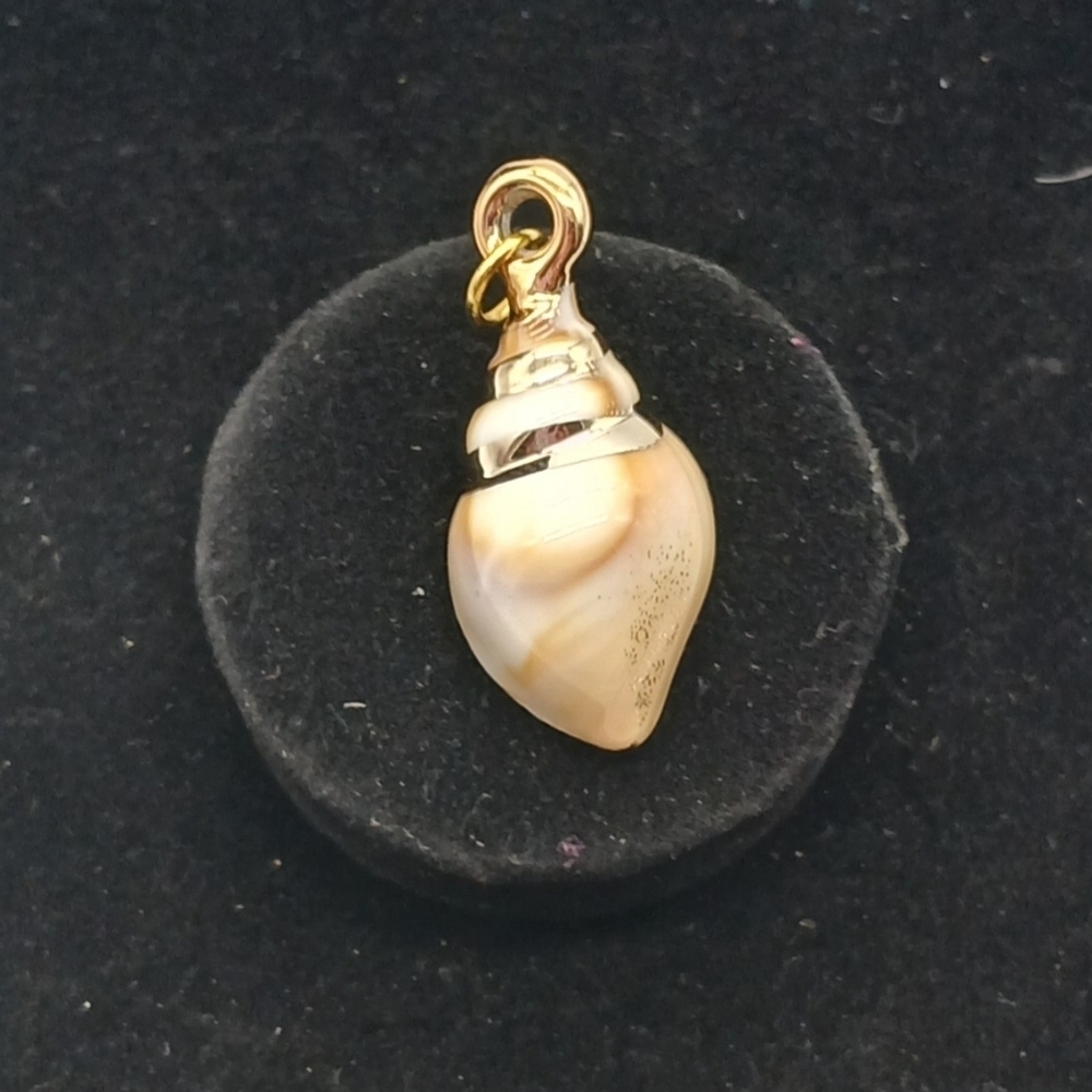 32x15mm Golden Seashell Acrylic Pendant #2 - Picture 1 of 5